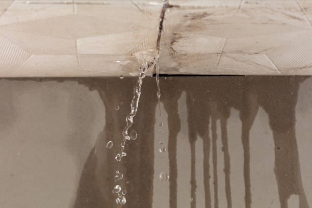 Professional Water Damage Restoration technician working in Knoxville, IL
